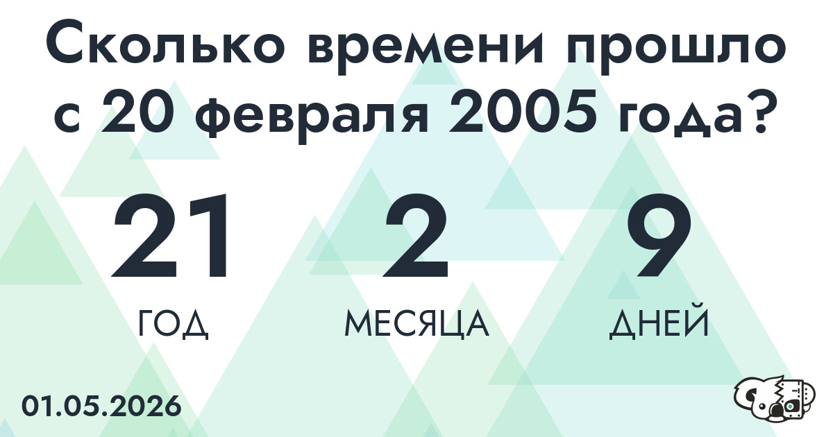 Сколько времени прошло с 20 февраля 2005 года