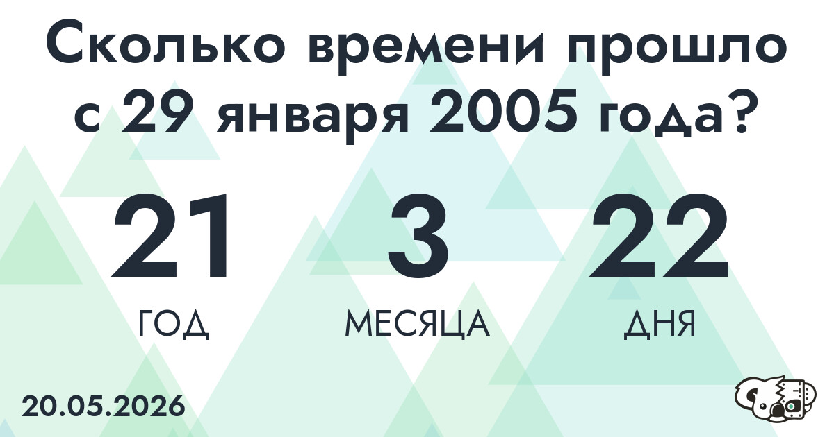 Сколько времени прошло с 29 января 2005 года