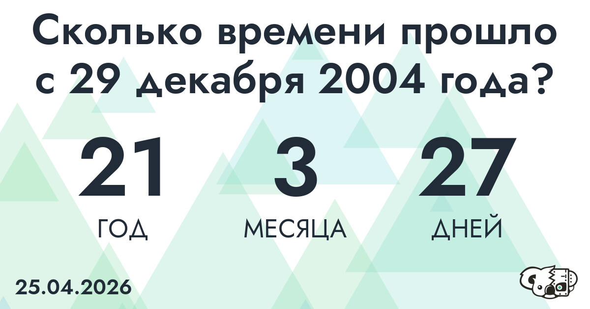Сколько времени прошло с 29 декабря 2004 года